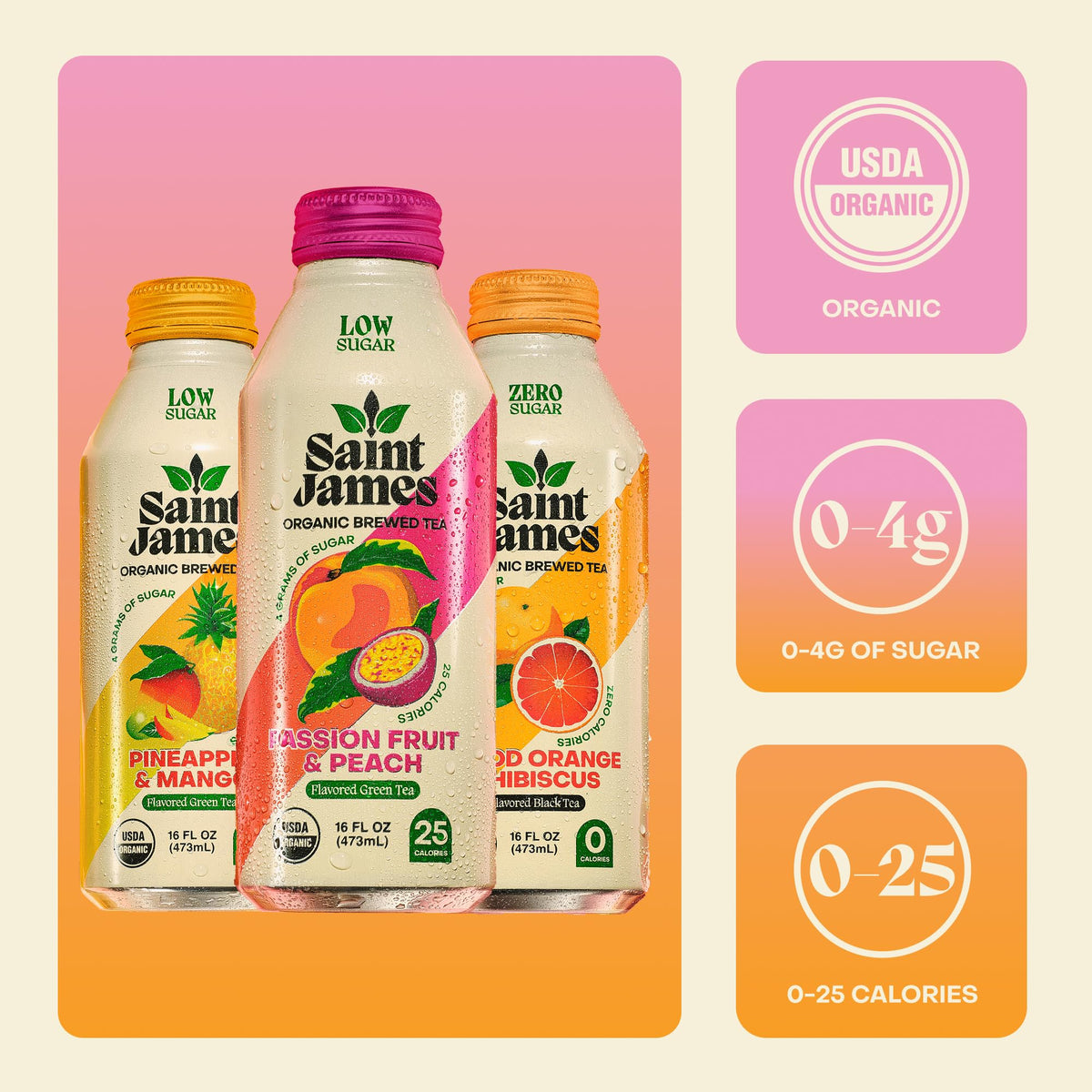 Saint James Iced Tea - Organic Tea, Party Variety Pack, 12 Pack