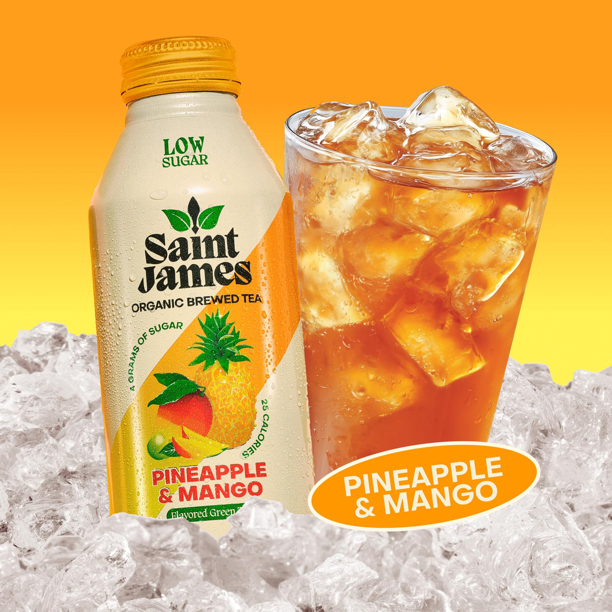 Saint James Iced Tea - Organic Tea, Party Variety Pack, 12 Pack