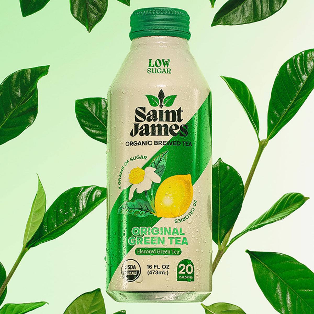 Saint James Iced Tea - Organic Tea, Party Variety Pack, 12 Pack