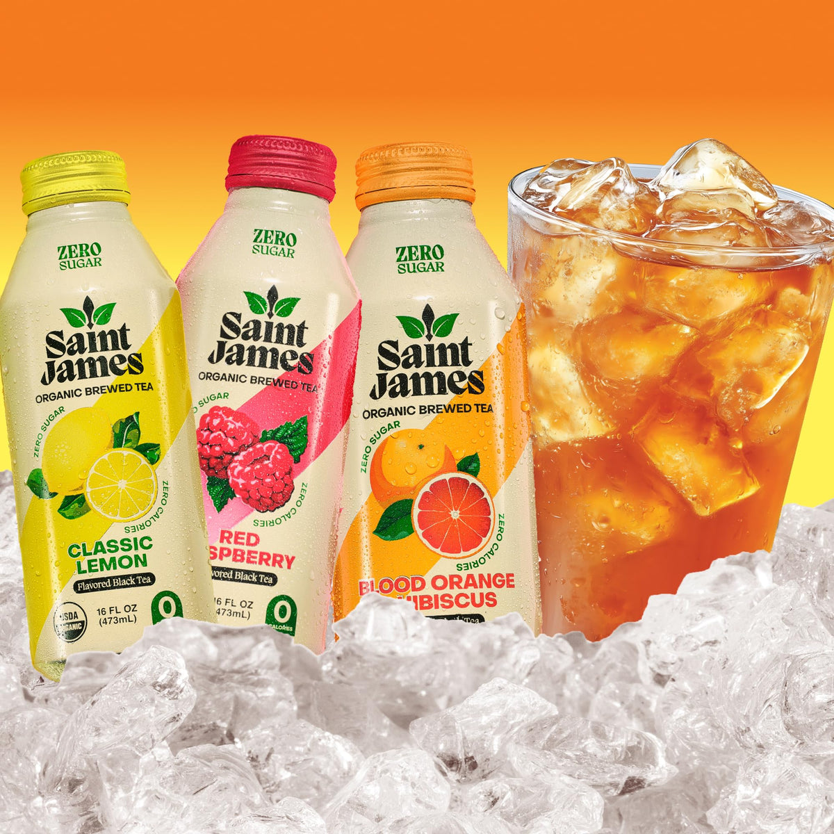 Saint James Iced Tea - Organic Tea, Party Variety Pack, 12 Pack