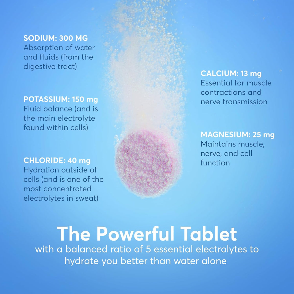 Nuun Sport Electrolyte Tablets with Magnesium, Calcium, Potassium, Chloride & Sodium, Gluten Free & Vegan, Mixed Flavors, 6 Pack (60 Servings Total)